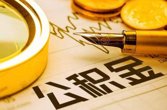 杭州金年会金字招牌信誉至上年审的审查过程